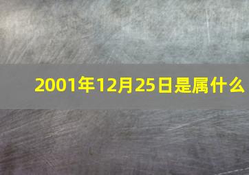 2001年12月25日是属什么