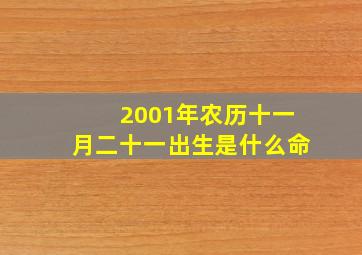 2001年农历十一月二十一出生是什么命