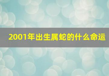 2001年出生属蛇的什么命运