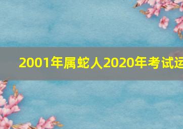 2001年属蛇人2020年考试运