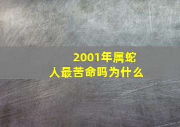 2001年属蛇人最苦命吗为什么