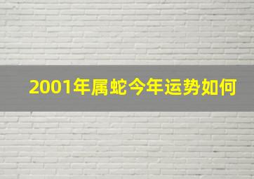 2001年属蛇今年运势如何