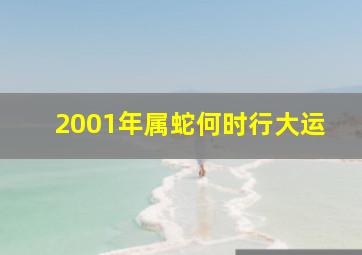 2001年属蛇何时行大运