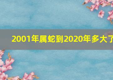 2001年属蛇到2020年多大了