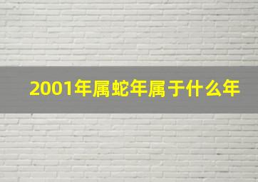 2001年属蛇年属于什么年