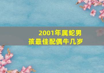 2001年属蛇男孩最佳配偶牛几岁