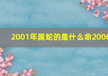 2001年属蛇的是什么命2006