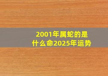 2001年属蛇的是什么命2025年运势