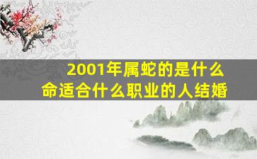 2001年属蛇的是什么命适合什么职业的人结婚