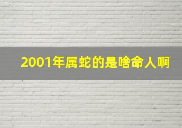 2001年属蛇的是啥命人啊