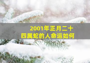 2001年正月二十四属蛇的人命运如何