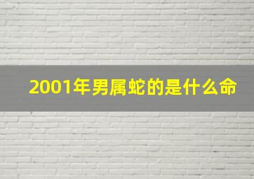 2001年男属蛇的是什么命