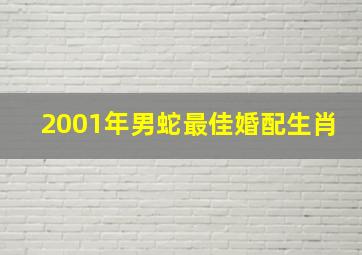 2001年男蛇最佳婚配生肖