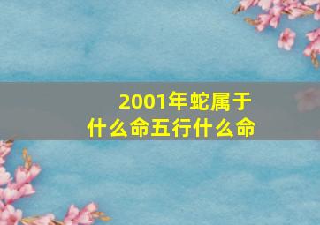 2001年蛇属于什么命五行什么命