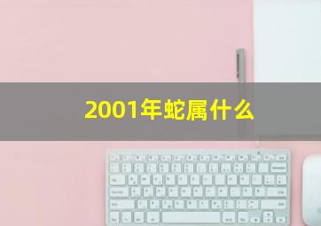 2001年蛇属什么