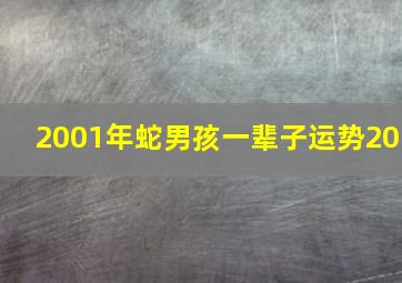 2001年蛇男孩一辈子运势20