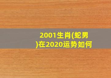 2001生肖(蛇男)在2020运势如何