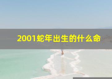 2001蛇年出生的什么命