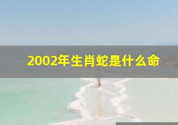 2002年生肖蛇是什么命