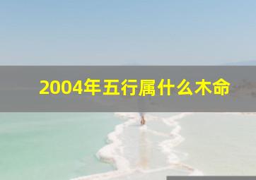 2004年五行属什么木命