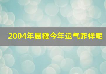 2004年属猴今年运气咋样呢