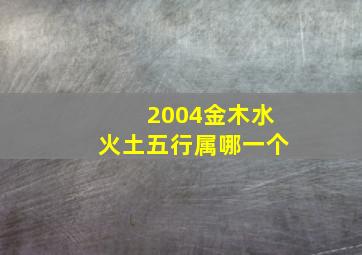 2004金木水火土五行属哪一个