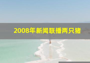 2008年新闻联播两只猪