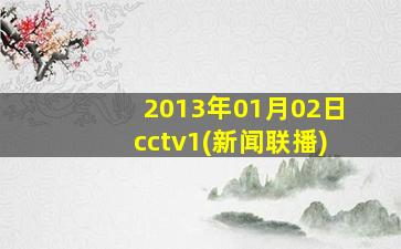 2013年01月02日cctv1(新闻联播)