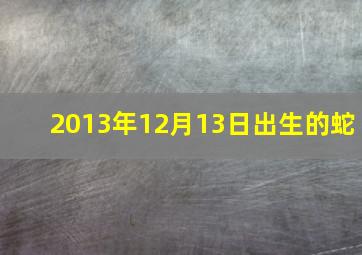 2013年12月13日出生的蛇