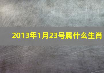 2013年1月23号属什么生肖