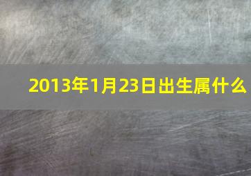 2013年1月23日出生属什么