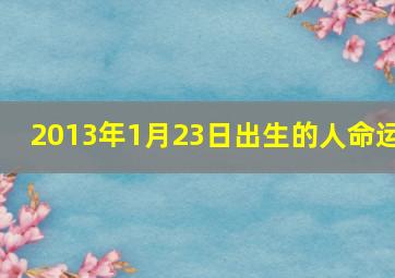 2013年1月23日出生的人命运