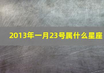 2013年一月23号属什么星座