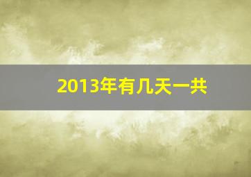 2013年有几天一共