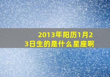 2013年阳历1月23日生的是什么星座啊