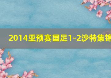 2014亚预赛国足1-2沙特集锦