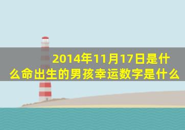 2014年11月17日是什么命出生的男孩幸运数字是什么