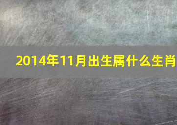 2014年11月出生属什么生肖