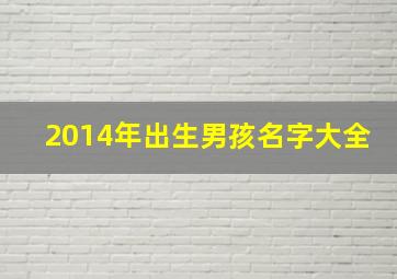 2014年出生男孩名字大全