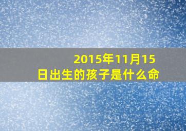 2015年11月15日出生的孩子是什么命