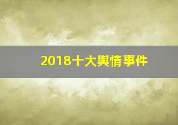 2018十大舆情事件