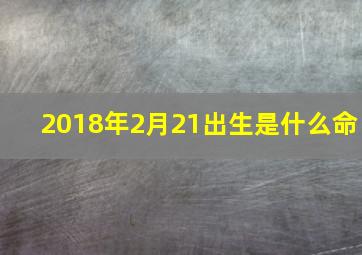 2018年2月21出生是什么命