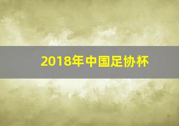 2018年中国足协杯