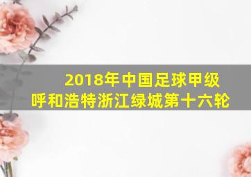 2018年中国足球甲级呼和浩特浙江绿城第十六轮