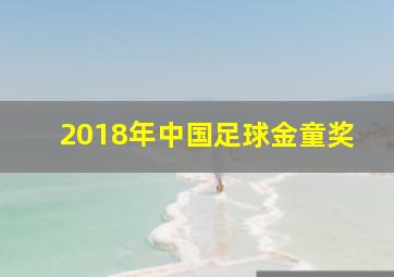 2018年中国足球金童奖