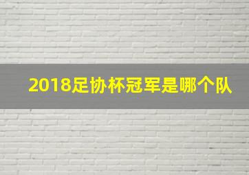 2018足协杯冠军是哪个队