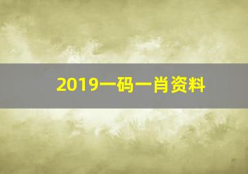 2019一码一肖资料