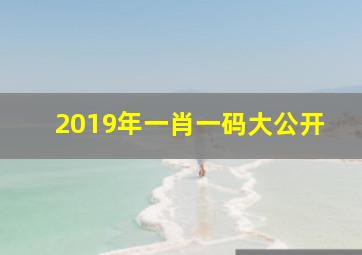 2019年一肖一码大公开