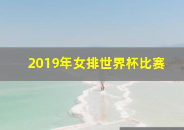 2019年女排世界杯比赛