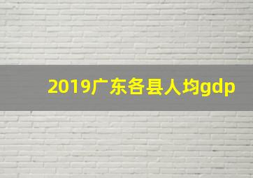 2019广东各县人均gdp